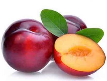 Angelino Plum