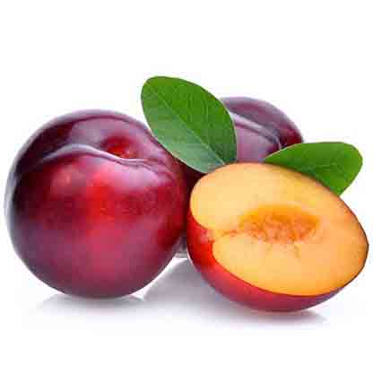 Angelino Plum