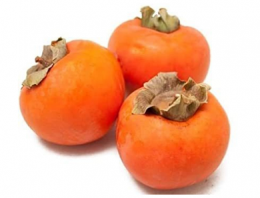 Persimmon